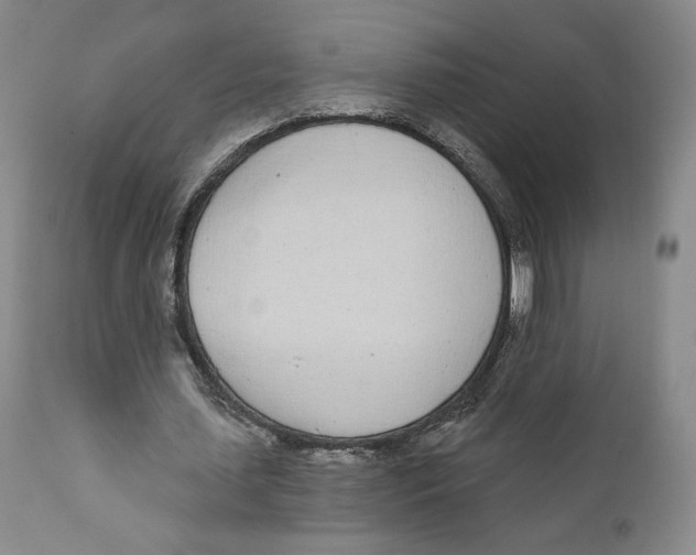 X0000111890627200908201322