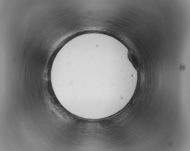 X0000111890628200908201322