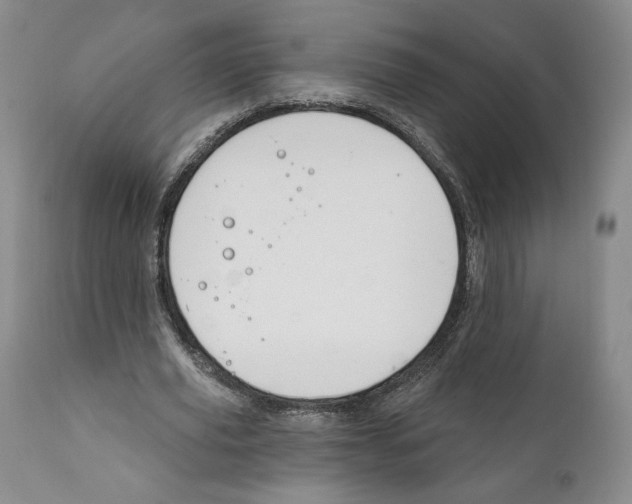 X0000111890629200908201322