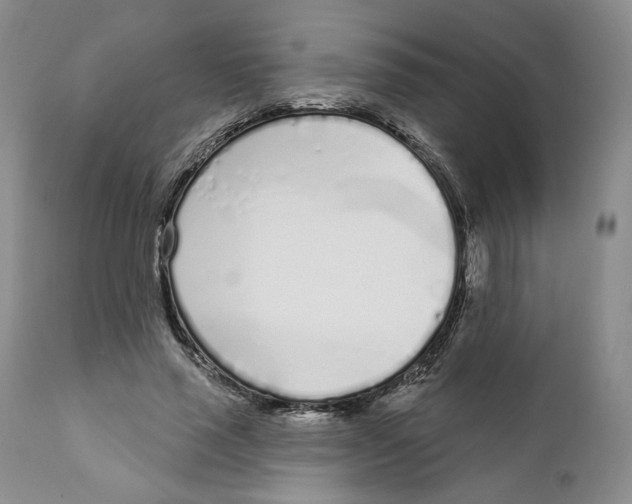 X0000111890637200908201322