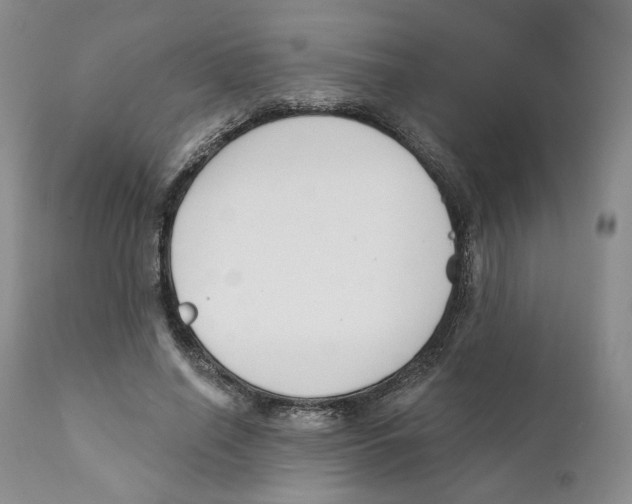 X0000111890638200908201322