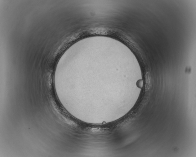 X0000111890641200908201322