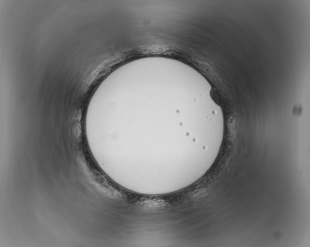 X0000111890642200908201322