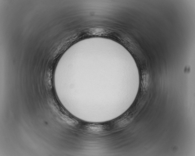 X0000111890653200908201322