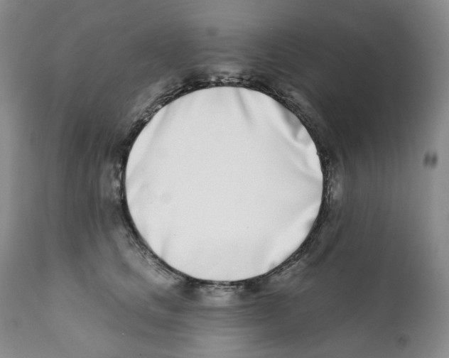 X0000111890661200908201322