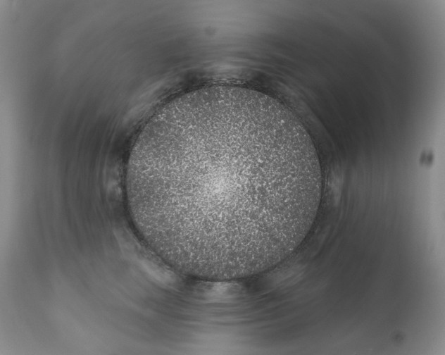 X0000111890663200908201322