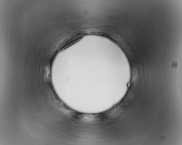 X0000111890669200908201322