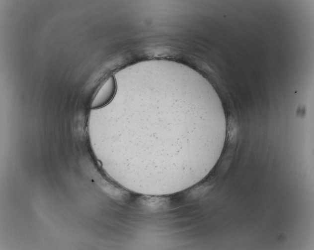 X0000111890670200908201322