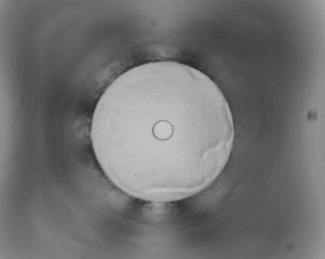 X0000111890672200908201322