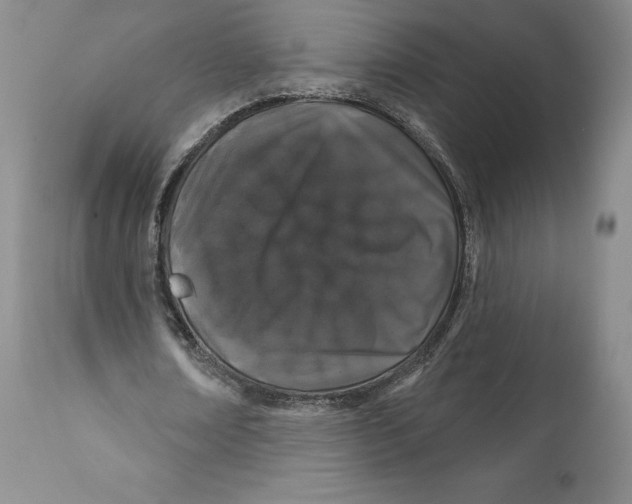 X0000111890674200908201322