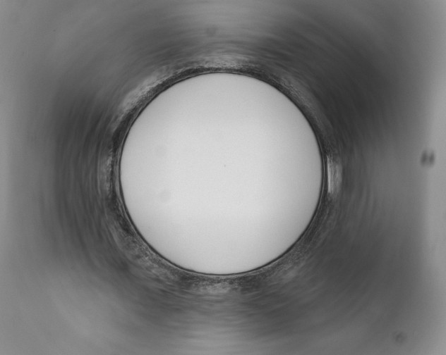 X0000111890675200908201322