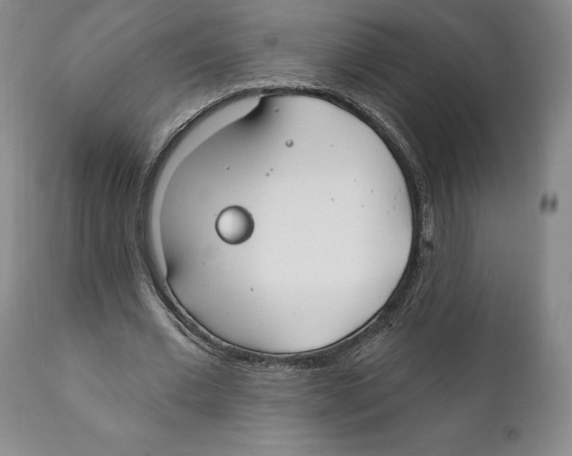 X0000111890677200908201322