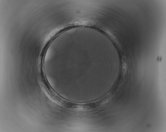 X0000111890678200908201322