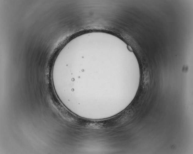 X0000111890680200908201322