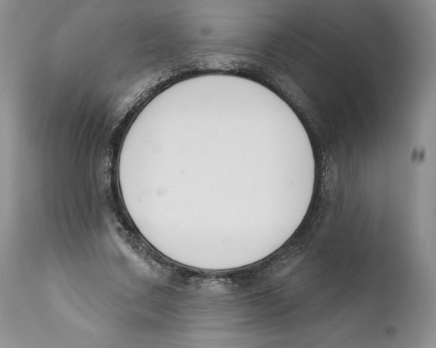 X0000111890683200908201321