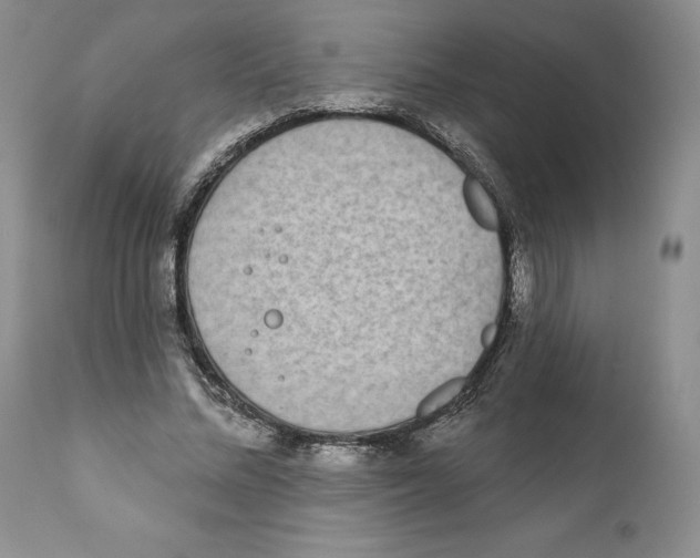 X0000111890684200908201321