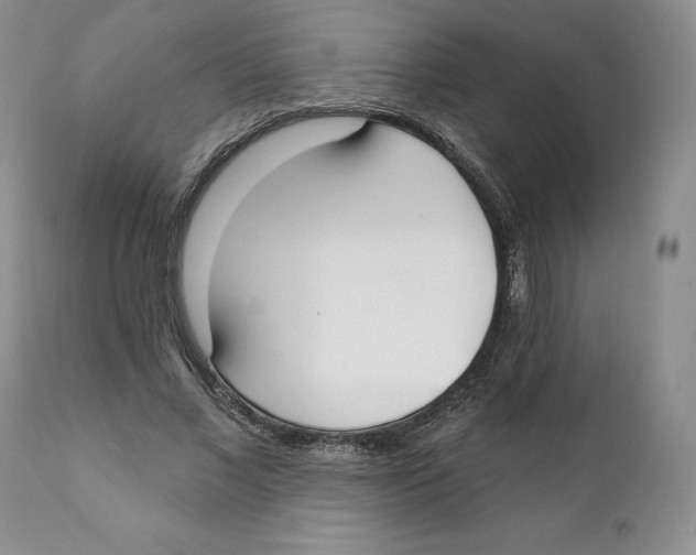 X0000111890685200908201321