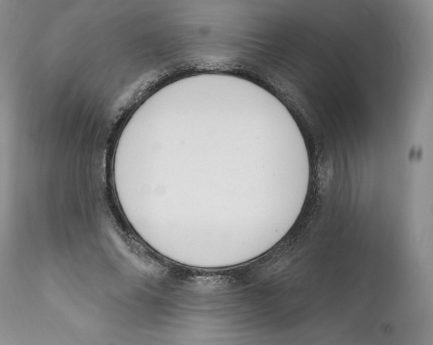 X0000111890686200908201321