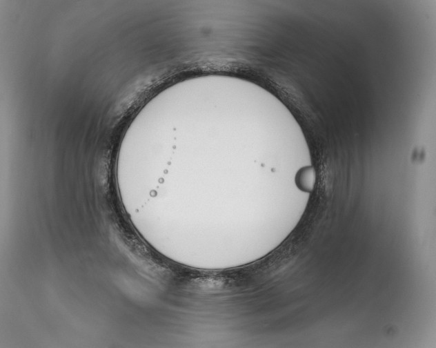 X0000111890687200908201321