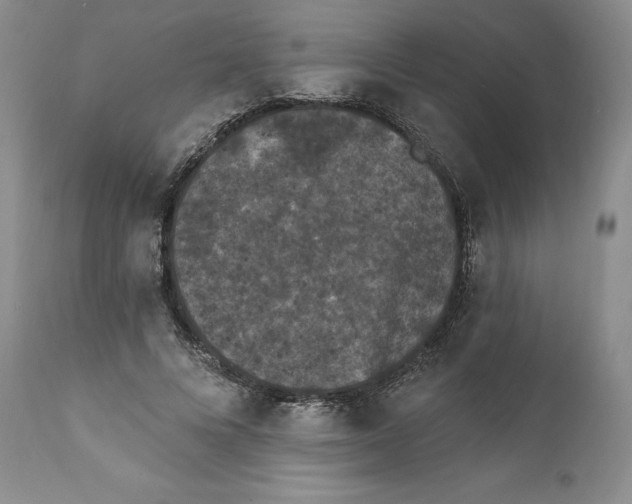 X0000111890688200908201321