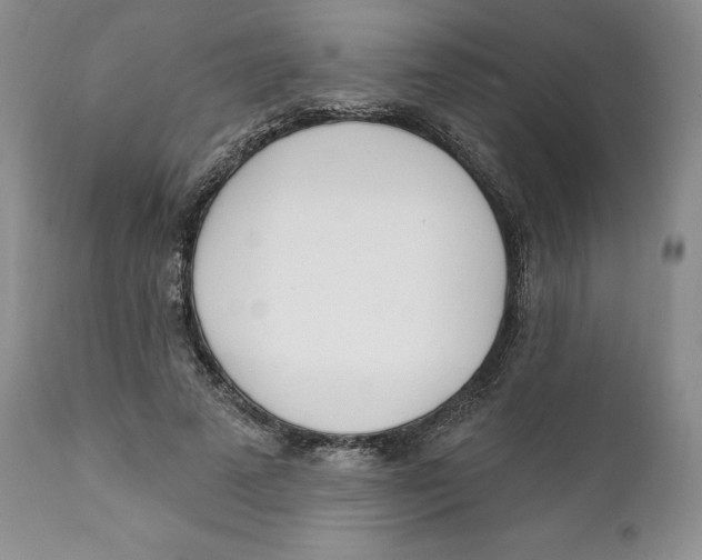 X0000111890689200908201321