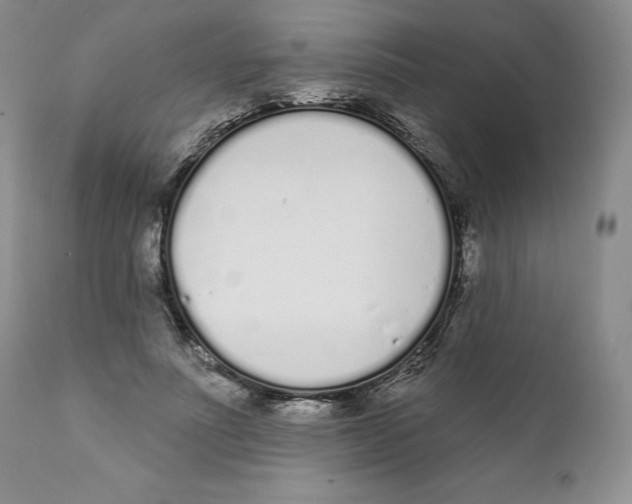 X0000111890691200908201321