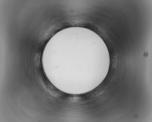 X0000111890695200908201321