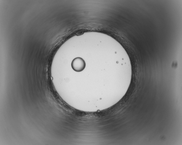 X0000111890696200908201321