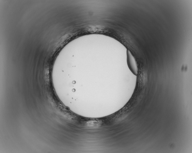 X0000111890700200908201321