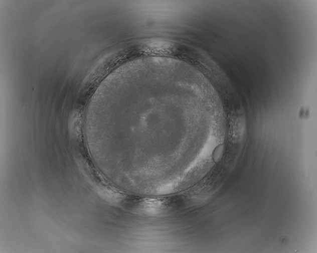 X0000111890701200908201321