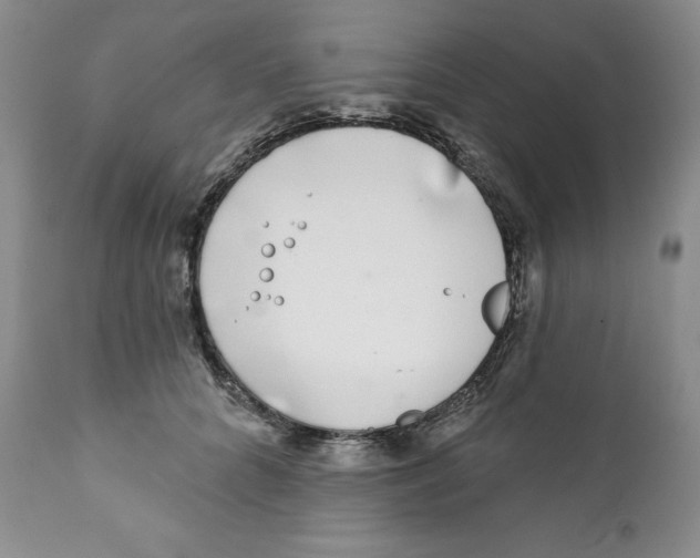 X0000111890704200908201321