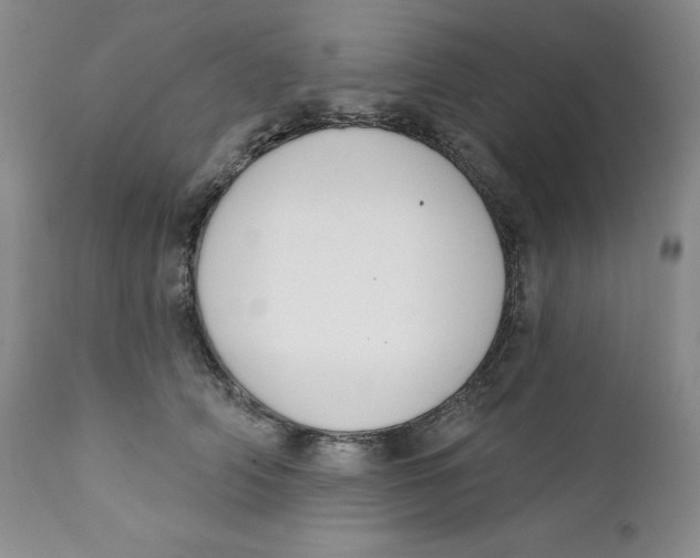 X0000111890706200908201321