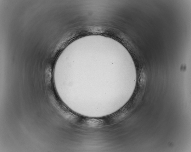 X0000111890707200908201321