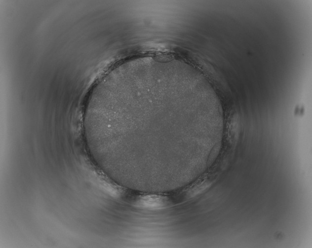 X0000111890708200908201321