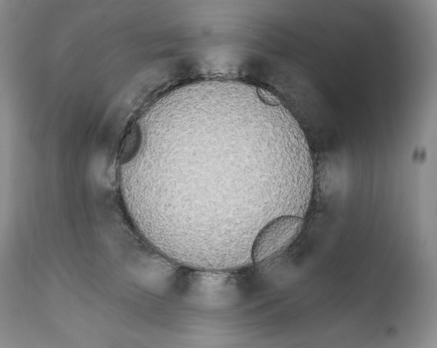 X0000111890709200908201321