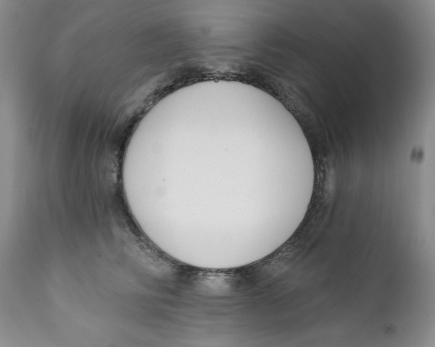 X0000111890710200908201321