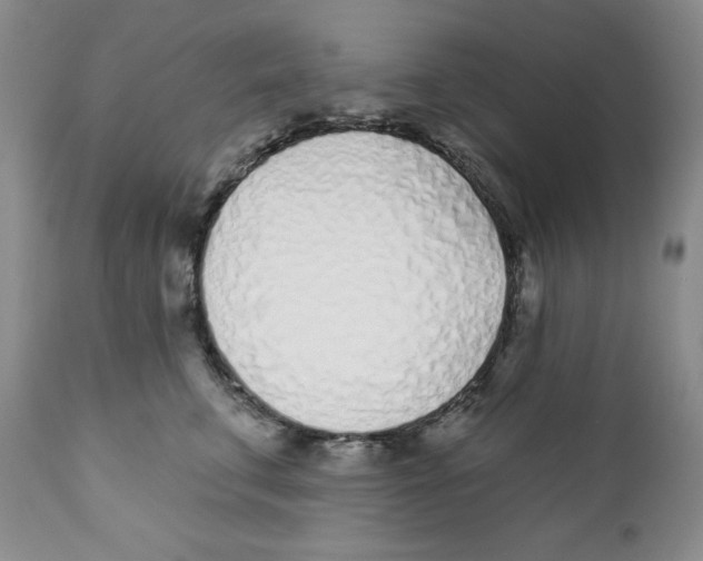 X0000111890711200908201321