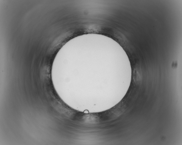 X0000111890714200908201321