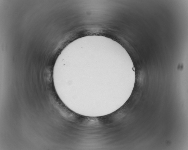 X0000111890715200908201321