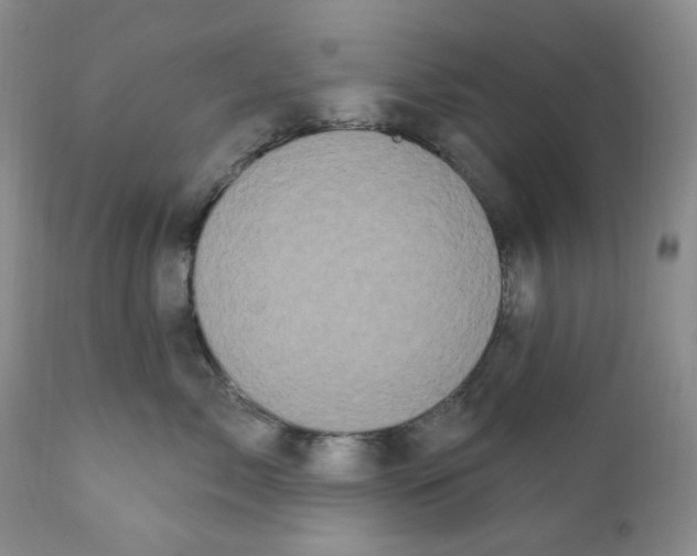 X0000111890717200908201321