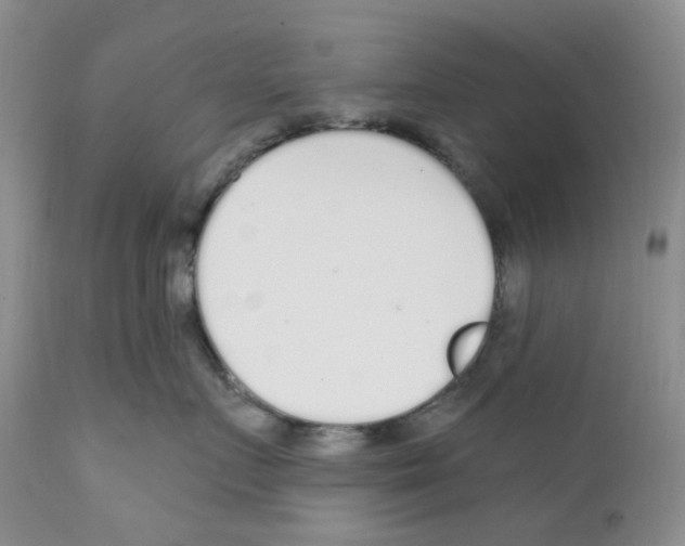 X0000111890719200908201321