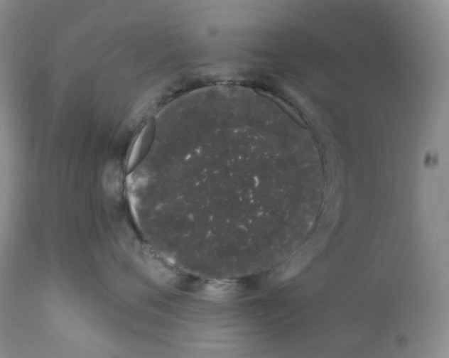 X0000111890720200908201321