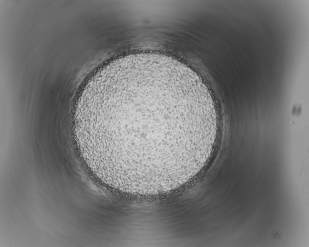 X0000111890721200908201320