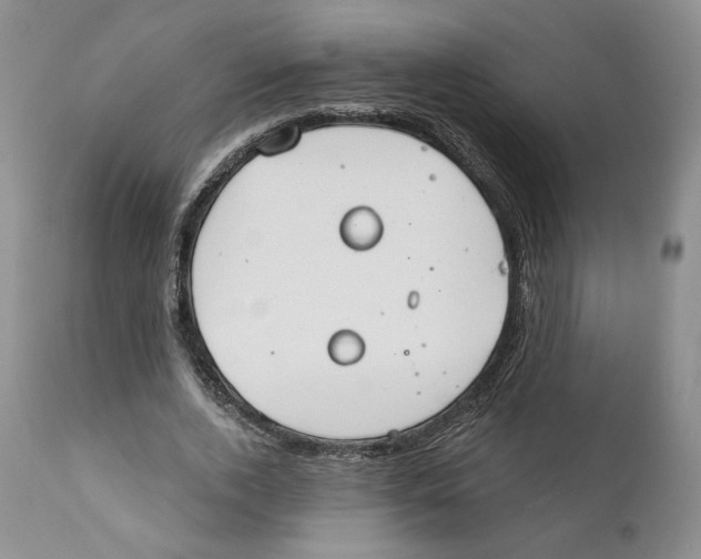 X0000111890728200908201320