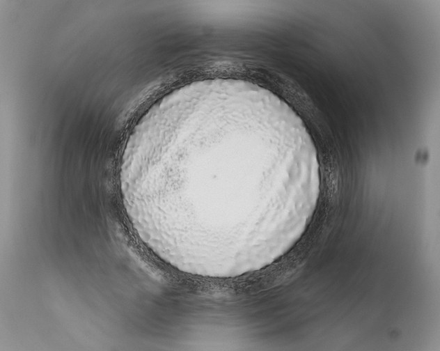 X0000111890729200908201320