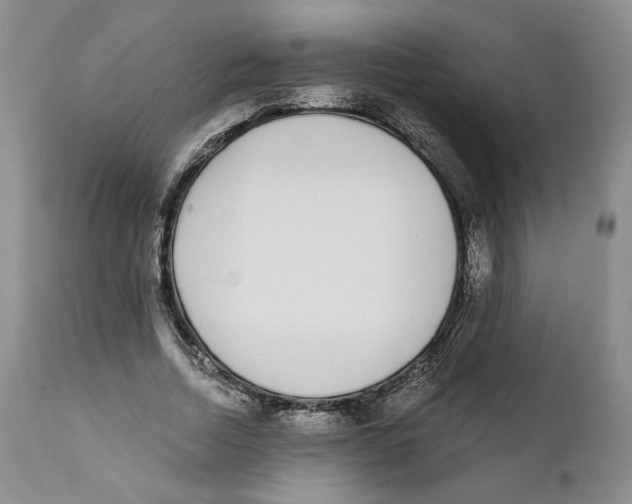 X0000111890730200908201320