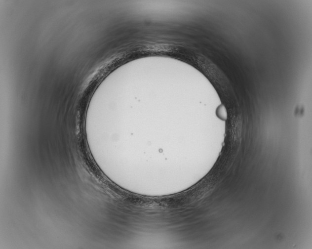 X0000111890731200908201320