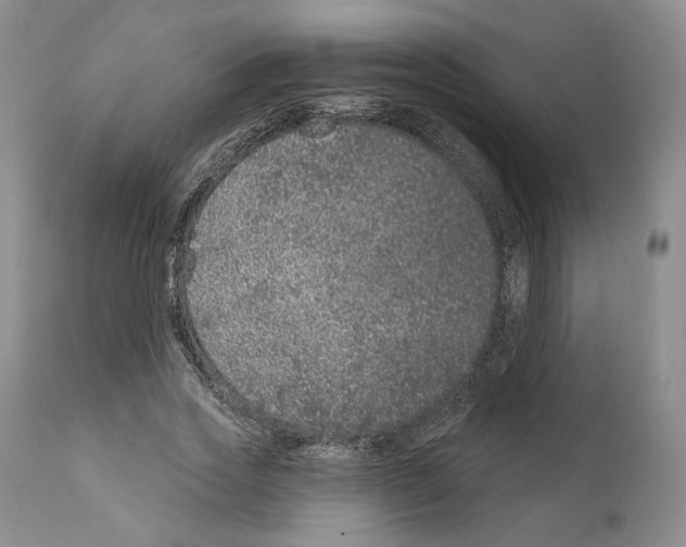 X0000111890733200908201320