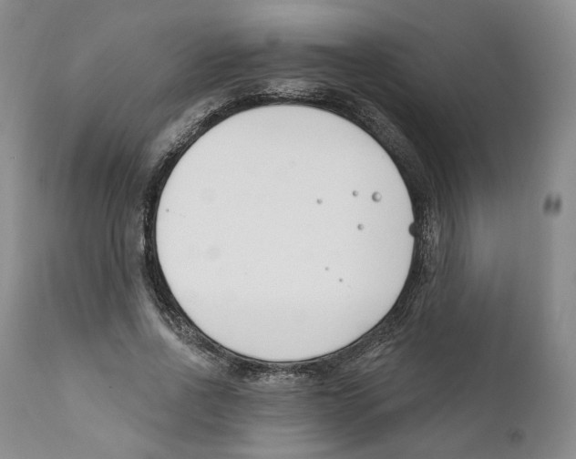 X0000111890734200908201320