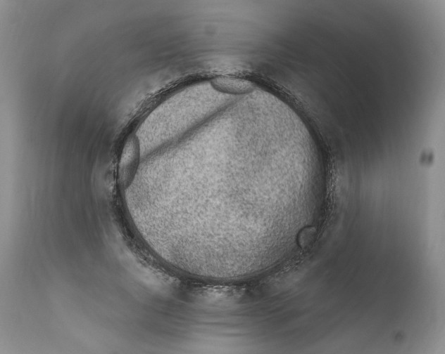 X0000111890736200908201320